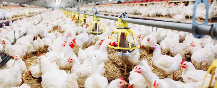 6b4e507579e0e06129b325c203fc7ee1