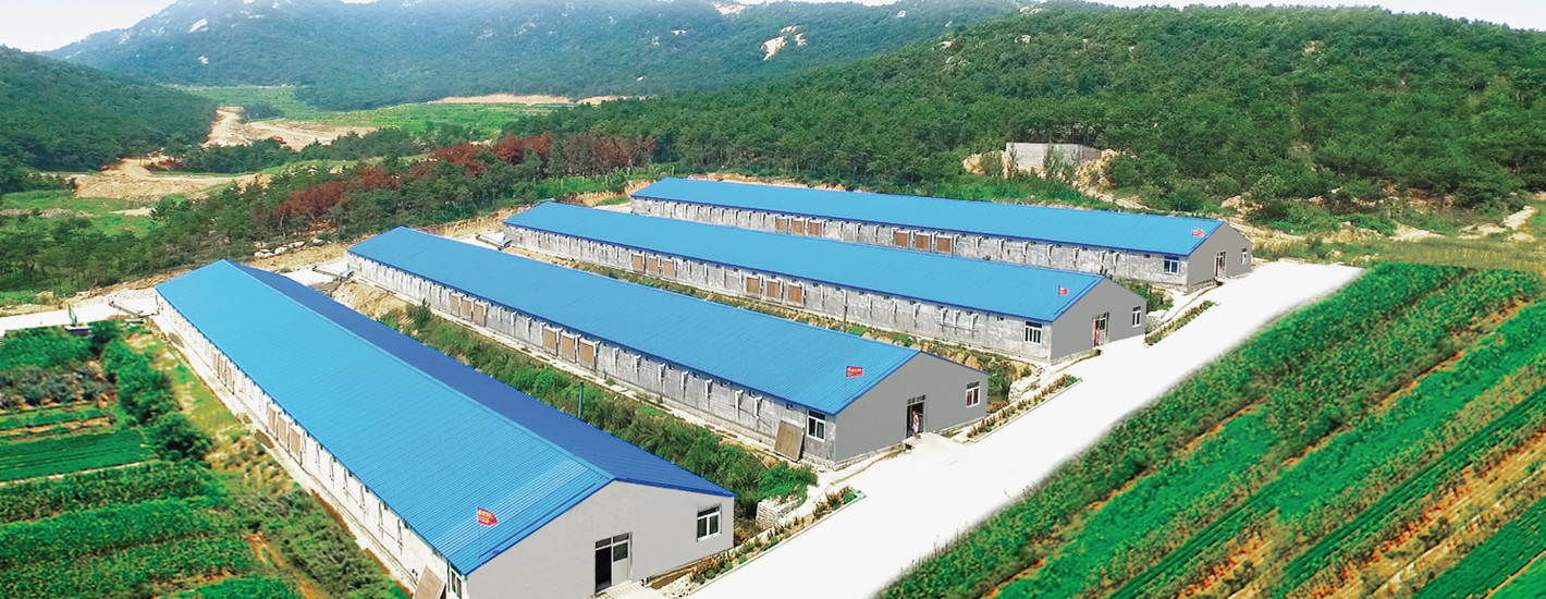 316d36e2ddaf1e57f8ab646f3bcc93b0