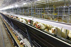 4ebaa0cc842f40cfb5d580177408eff4