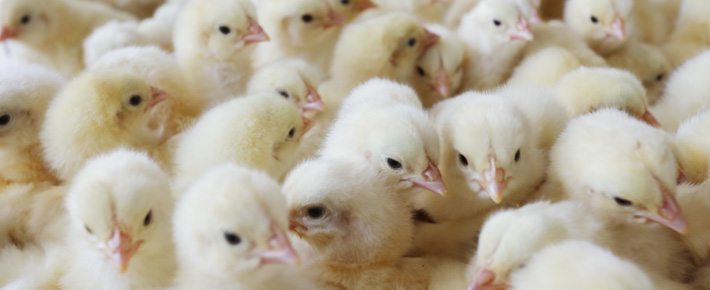 46399575f1a7de898861a745421f5602