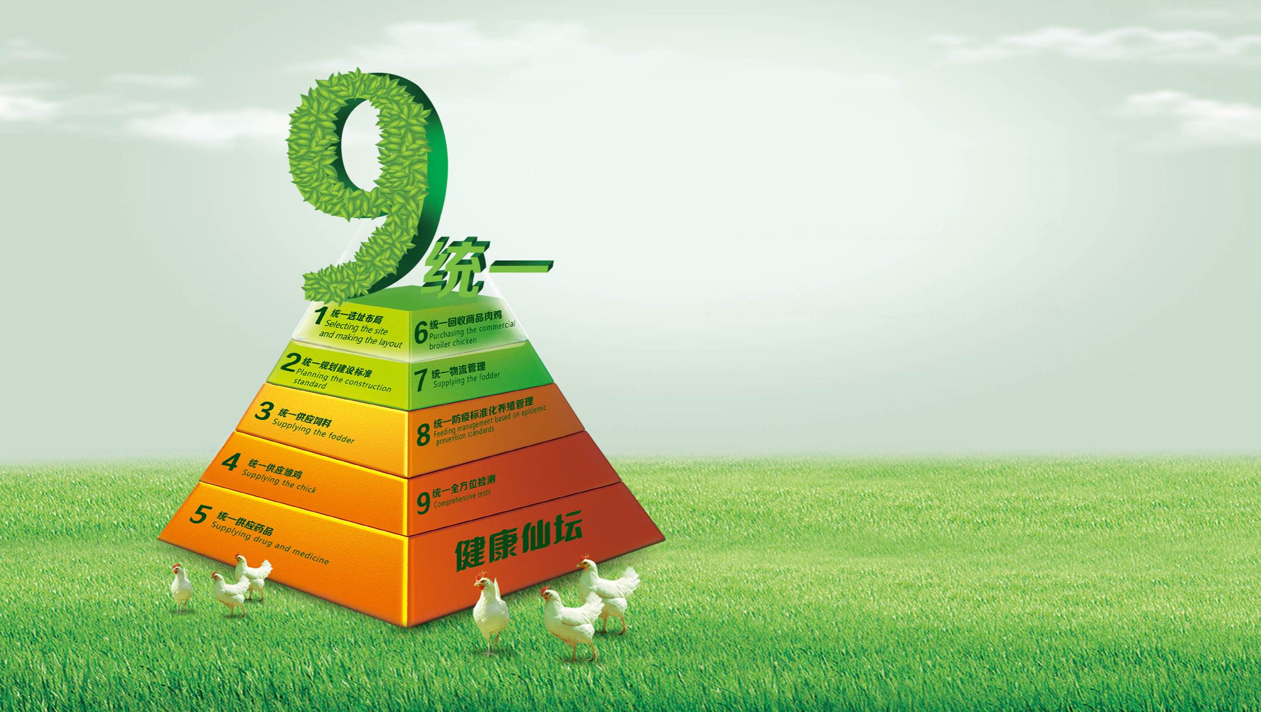 首页| BG大游集团中国官方网站