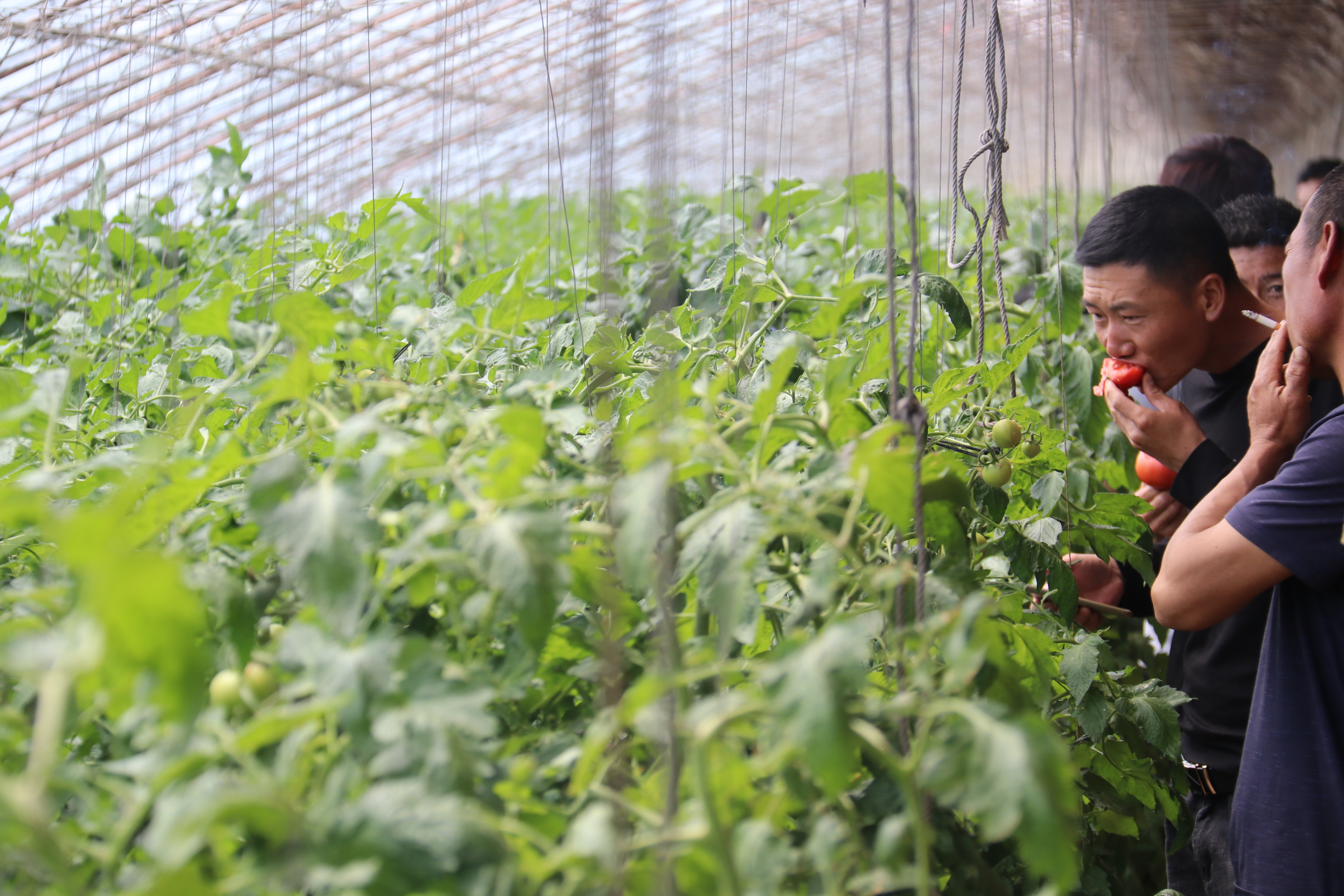 千亿国际(中国区)唯一官方网站